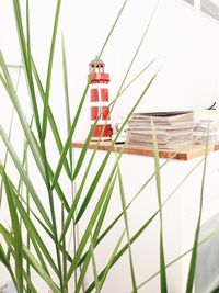 Low angle view of electric lamp on grass