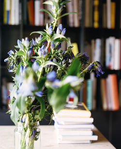 Close-up of potted plant