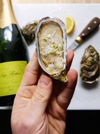 Close-up of hand holding oyster