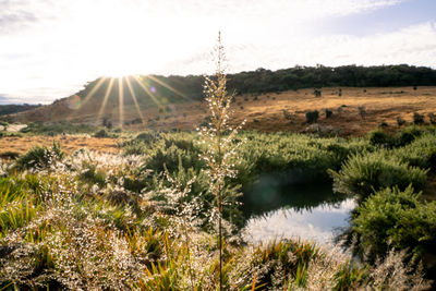 Scenic view of landscape against sky