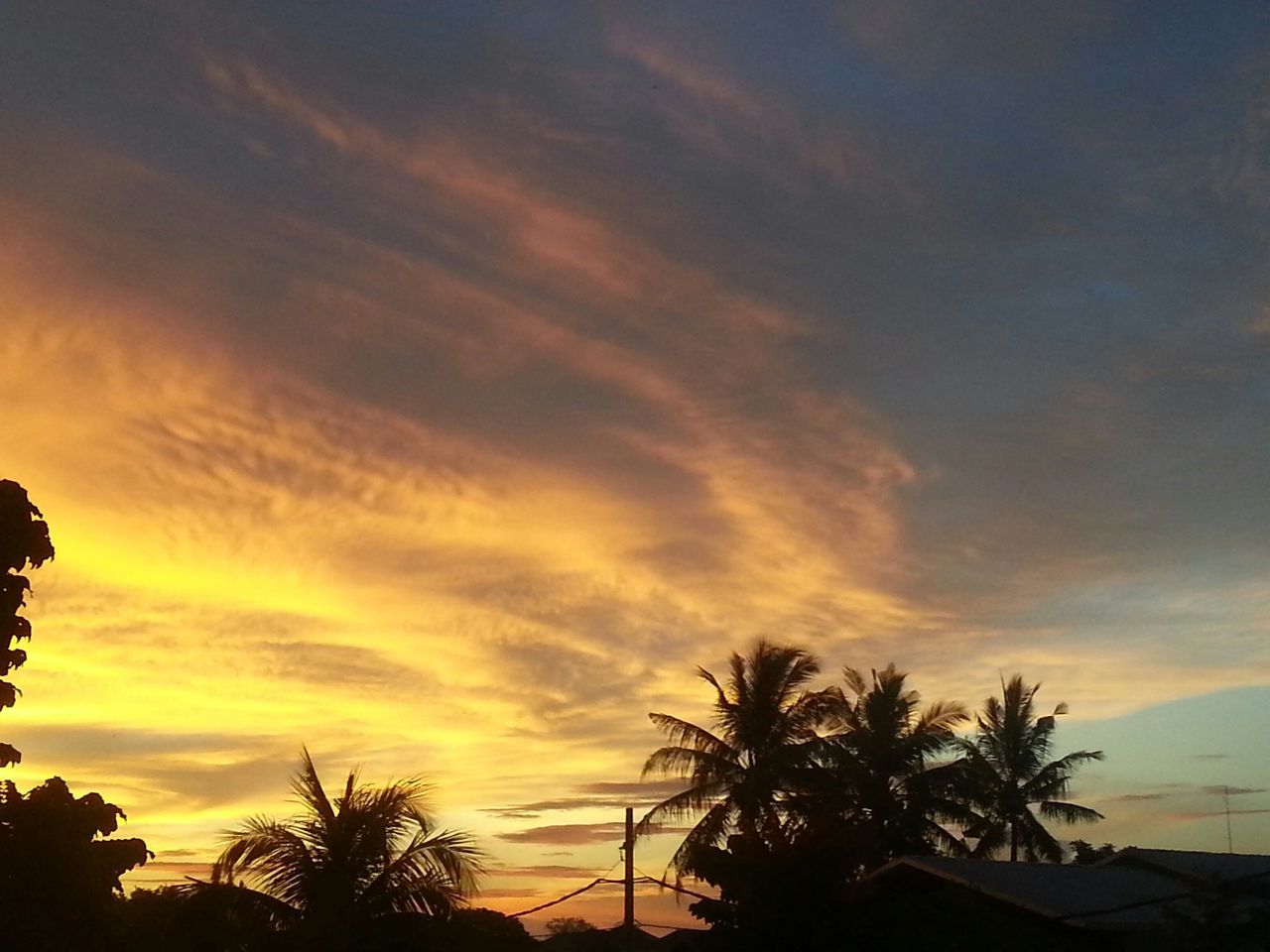 sunset, silhouette, sky, tree, beauty in nature, scenics, tranquility, tranquil scene, orange color, cloud - sky, nature, palm tree, dramatic sky, low angle view, idyllic, cloud, cloudy, moody sky, outdoors, dusk