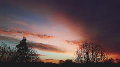 Low angle view of silhouette trees against sky during sunset