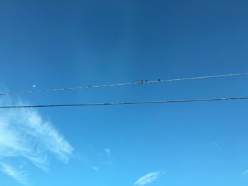 Low angle view of power lines against blue sky