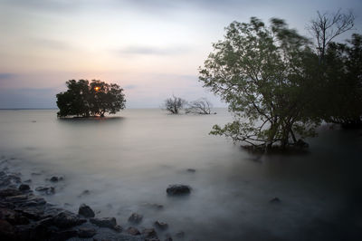 Scenic view of sea against sky during sunset