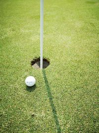 High angle view of golf ball