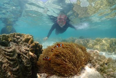 Man swimming in sea