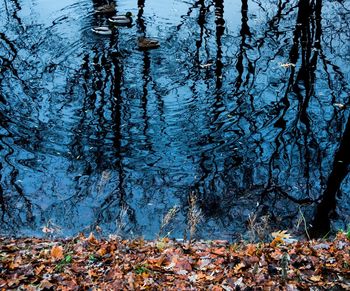 Scenic view of lake