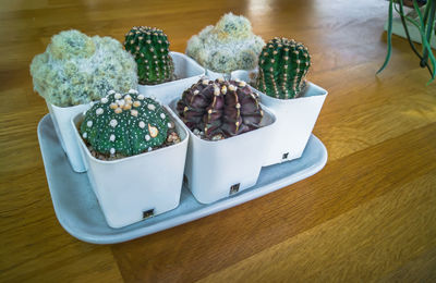 High angle view of dessert in plate on table