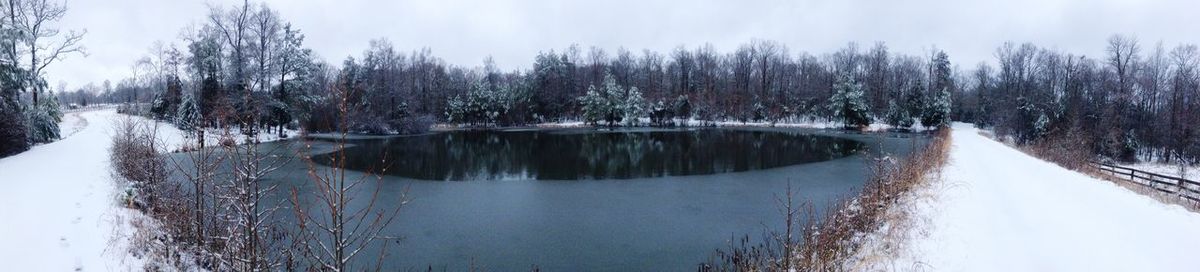 Panoramic view of trees against sky