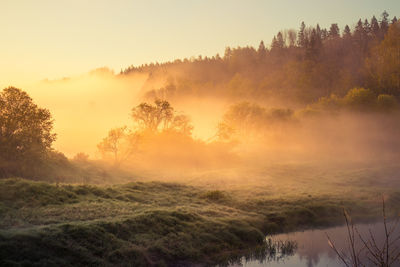 A beautiful river morning with mist and sun light. springtime scenery of river banks in europe. 