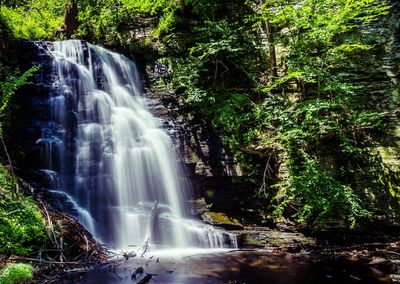 Scenic view of waterfall in forest