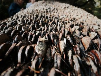 Full frame shot of firewood