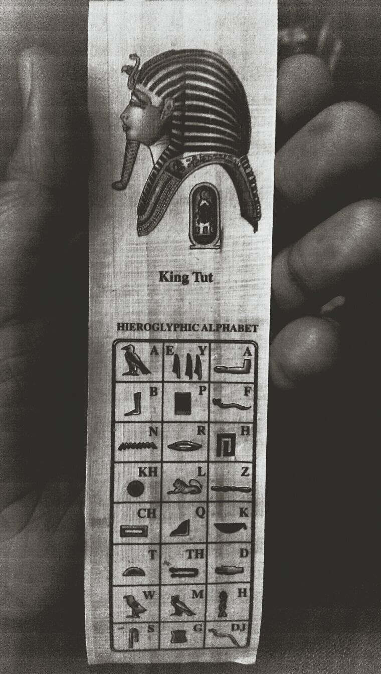 Egyptology