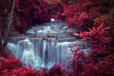 Scenic view of waterfall in forest during autumn