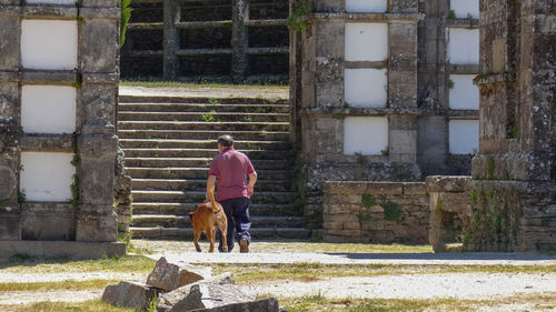 Rear view of a man and dog walking on street