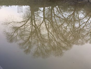 Reflection of tree in lake against sky