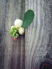 High angle view of fruits on table