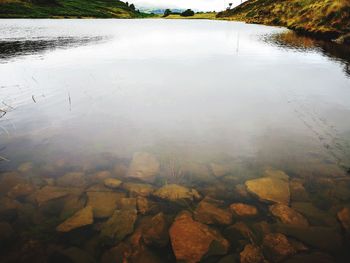 High angle view of reflection of trees in lake