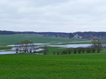 Scenic view of field against sky