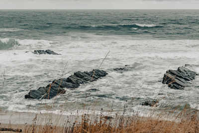 Scenic view of sea shore against sky