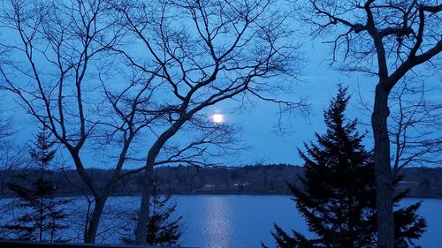 Bare tree by river against sky at night