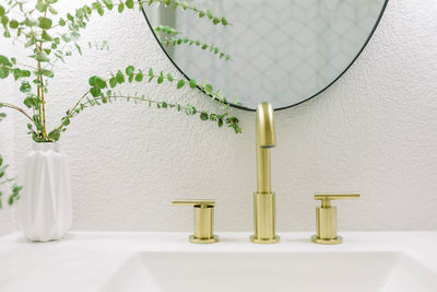 Potted plant next to a gold faucet in a modern white bathroom 