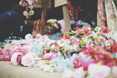 Close-up of pink roses