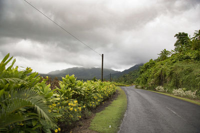 Empty road crossing tropical gardens during a cloudy day, samoa