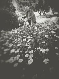 Rear view of woman with flowers in park