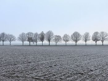 Trees on snow field against clear sky during winter