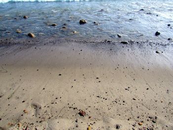 Close-up of flock of birds on beach