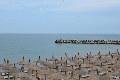 View of seagulls by sea against sky