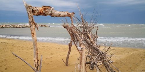 Scenic view of driftwood on beach against sky