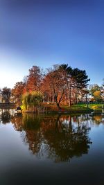 Tranquil view of trees with colourful leaves reflectered in lake against sky on sunny autumn day