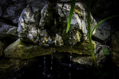 Close-up of water flowing through rocks