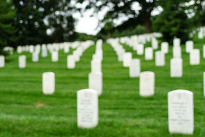 View of cemetery