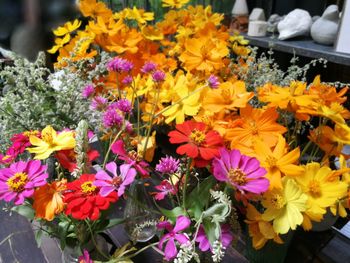 Close-up of multi colored flowers for sale