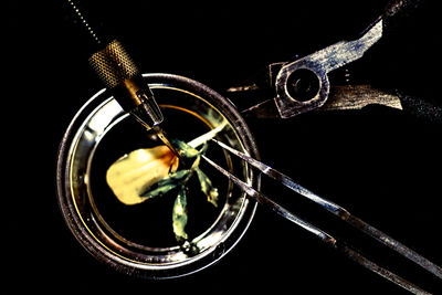 Close-up of over black background