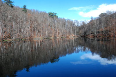 Reflection of trees in lake against sky