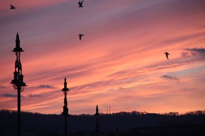 Silhouette birds flying against sky during sunset