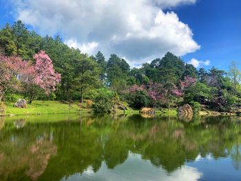 Scenic view of lake by trees against sky