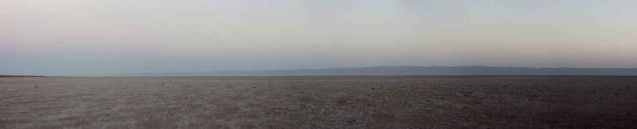 Scenic view of field against clear sky