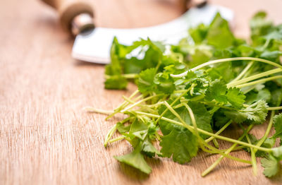 Close-up of chopped vegetables on cutting board