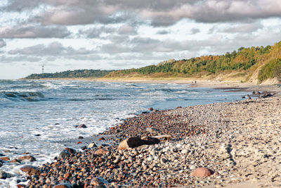 Beautiful stony beach and sandy dunes with pine trees, coastline on the baltic sea in lithuania