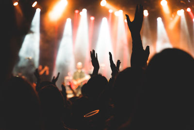 Group of people at music concert