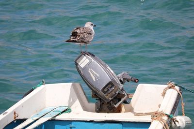 Seagull perching on engine of boat moored at sea