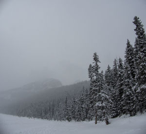 cold temperature