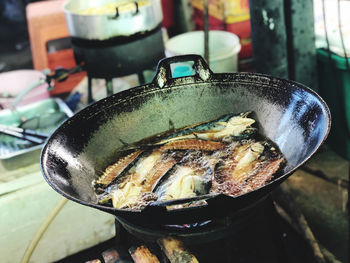 Close-up of fish in container