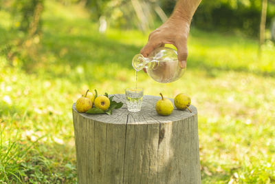 Hand holding fruit on wood