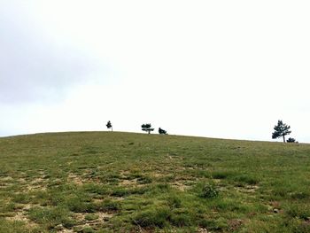 Scenic view of grassy field against sky